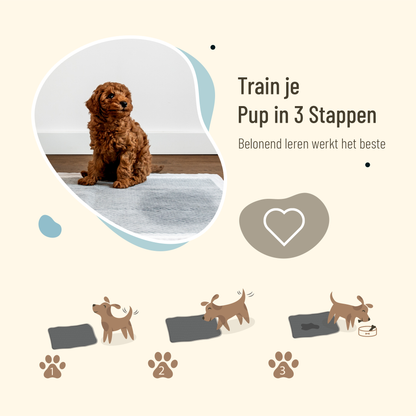 Ypet Puppy Pads - 105 Stuks